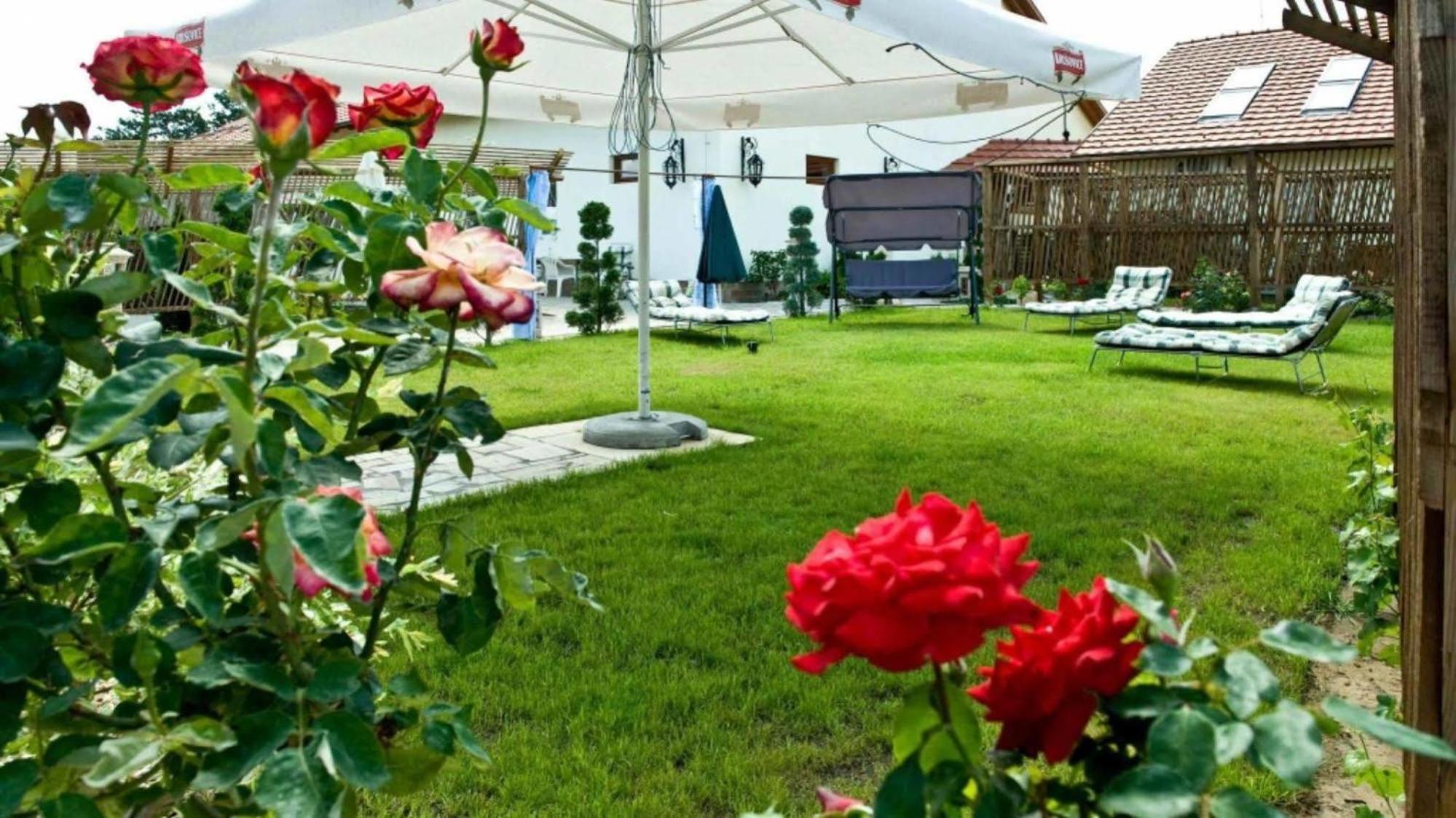 Castle Wellness Resort Sosto Mestecǎneşti Exterior foto